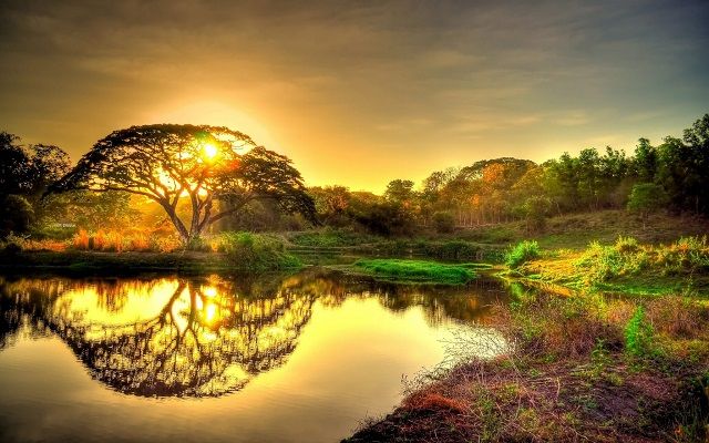 Hình nền ngầu cho điện thoại, máy tính theo chủ đề thiên nhiên