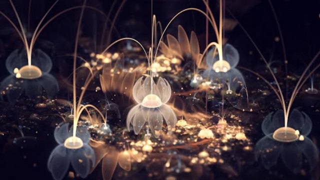 Trọn bộ hình nền 3D đẹp nhất thế giới đa dạng chủ đề