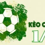 Kèo chấp ¼ là gì?